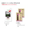 SALON STYLE KOSE Violis Botanical Water Treatment, Introduction Beauty Serum,