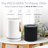 2 Pack Air Mini PECO-HEPA Replacement Filter Compatible with Molekule