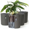 Self-Watering Planter for Leca and Pon - 4-Pack (6 inch)