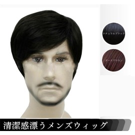 Men's Wig, Hair Cut, Full Wig, For Hair, Oblique Bangs, Short, Men's Wig, Handsome, Fashion, Business, Natural, Breathable, Short Hair (B)