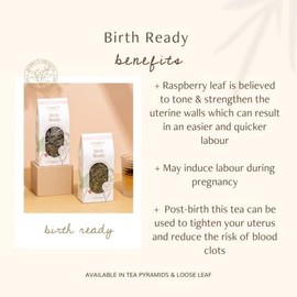 Birth Ready - Award-Winning Organic Raspberry Leaf Tea with Peppermint | Pregnancy & Postpartum Essential | 15 Biodegradable Teabags | Labour Support & Natural Healing | Mummy's Organics