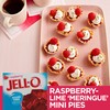 Jell-O Raspberry Sugar Free Gelatin Dessert Mix (24 ct Pack,