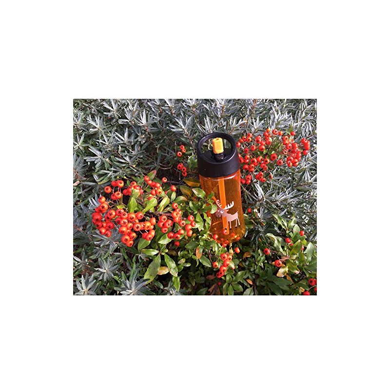 Carl Oscar Funny children's drinking bottle with handle, the bottle