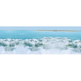 Mantequilla Corporal De Leche Y Miel Del Mar Muerto: Suaviza