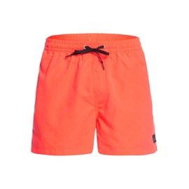 Quiksilver Men's Everyday 38.1-cm Board Shorts