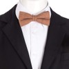 DonDon men's bow tie, 12 x 6 cm, cotton, tied