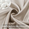 Adubor Silk Pillowcase Silk Pillow Case 2 Pack for Hair