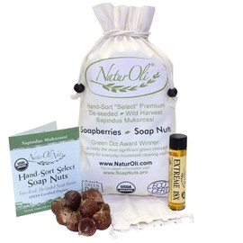 NaturOli Soap Nuts/Soap Berries - 1-Lbs organic (240 loads) + 18X Travel Bottle! Select Seedless - 1 Wash Bag, 8-pg info, Tote Bag. Organic Laundry Soap