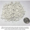 PVP Industries Organic Perlite Planting Soil Additive, White, 4-Cubic Feet