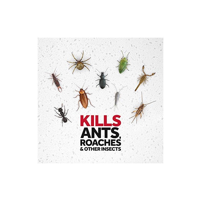 Raid Ant Killer Spray Pine Forest 17.5 Ounce (Pack of