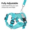 pangdi Cat Harness and Leash Escape Proof Extra Large Kitten