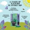 Clipper Organic Peppermint & Spearmint Infusions Fruit Teabags / 80