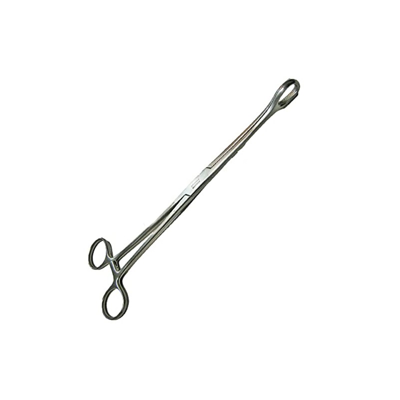 HERGOM - Pinza Forester Recta 18cm Porta Esponjas Hergom Premium