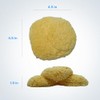 SM Arnold Spin Brite™ Professional Auto Detailing 3-1/2" Wool Yellow