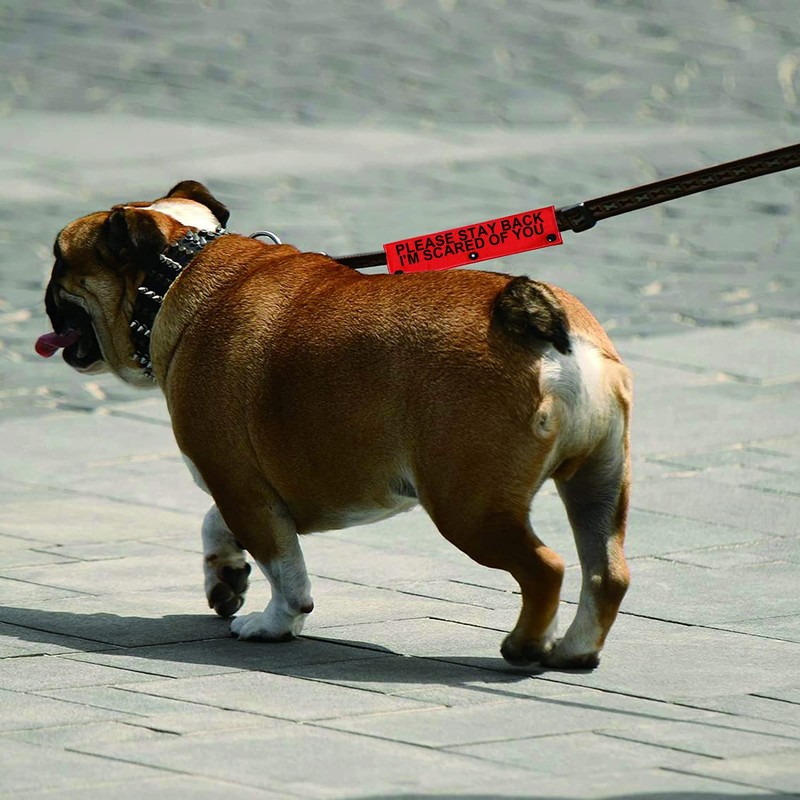 Funny Dog Leash Sleeve Please Stay Back I'm Scared of