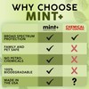 Mint+ Rodent Repellent Spray, Mouse & Rat Repellent for Indoor