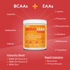 RSP NUTRITION RSP AminoLean Recovery - Post Workout BCAAs Amino
