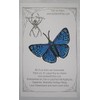 Blue Metalmark Butterfly Lasaia Sula Iron on or Sew on