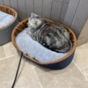 GooCare USB Pet Heating Pad – Turns Any Pet Bed