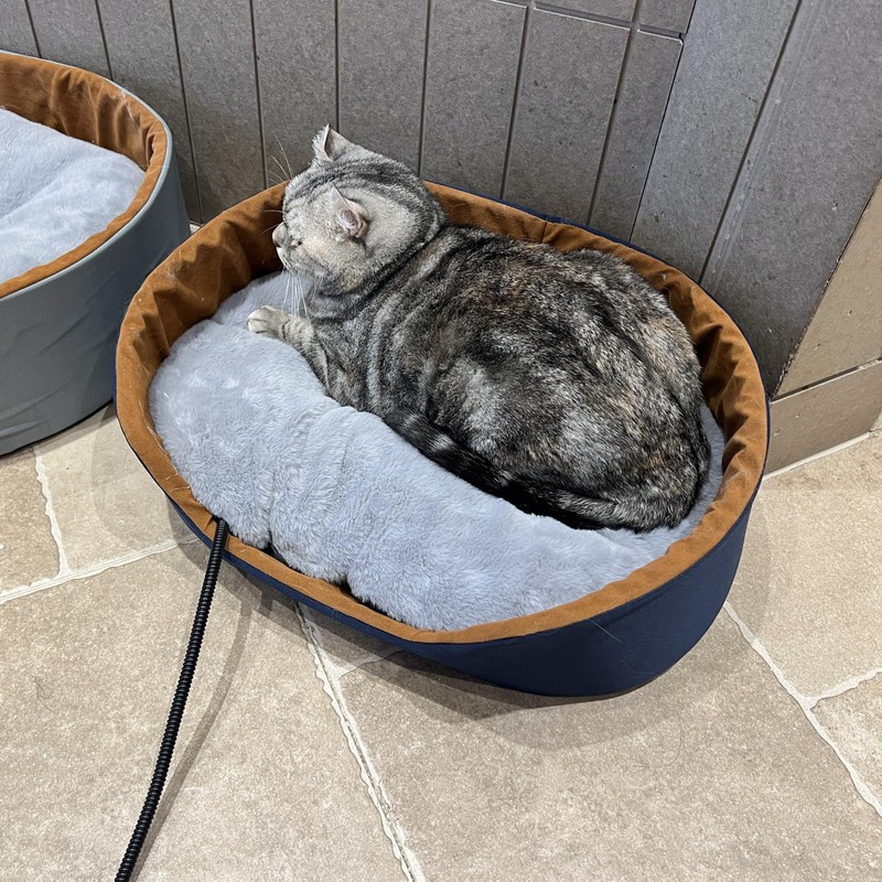 GooCare USB Pet Heating Pad – Turns Any Pet Bed