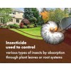 Pro Grub Control – 32oz - Concentrated Imidacloprid (21.4%) Insecticide