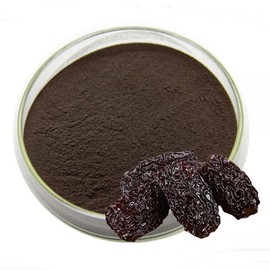 푸룬농축분말 100g 샘플 Prune Concentrate Powder 100g Sample