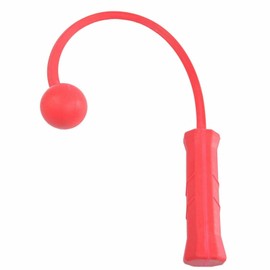 The Total Serve ServeMaster 1-Ball Tennis Serve Trainer and Swing Training Tool