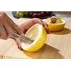 Global Ist Peeling Silver Blade Length 3.1 inches (8 cm)