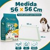 Dry Pet Tapete Entrenador para Perro de 30 Piezas