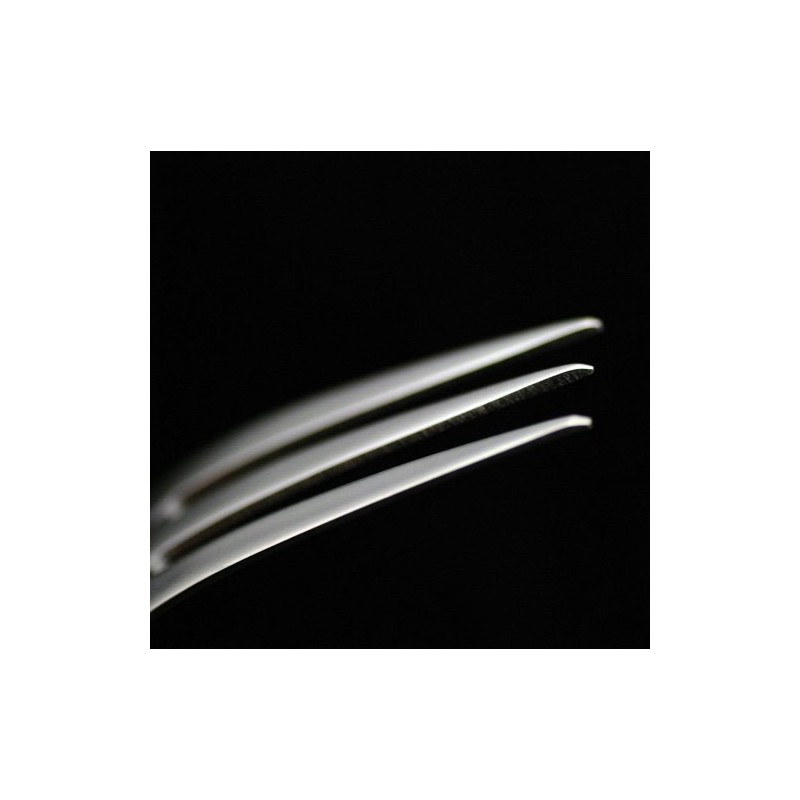 Kai Boyson Grand Prix Matte Cake Fork 508