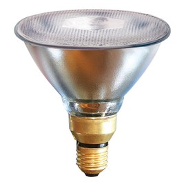 Kerbl 22250 Low Energy Bulb 175 Watt Clear