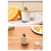 AKOAK 1 Pack Empty Four Season Plant Toothpick Box/Animal Cotton