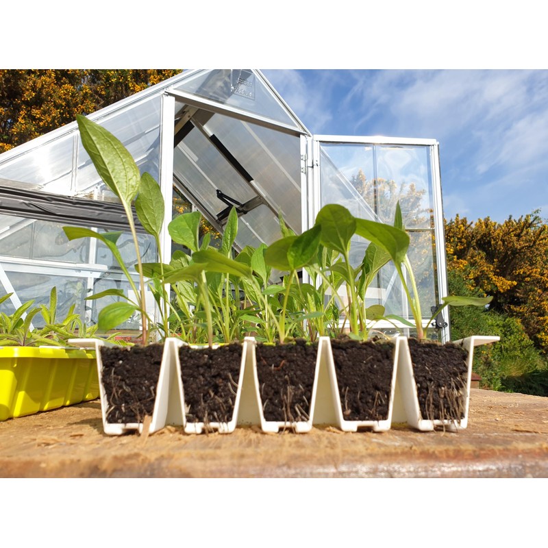BUSTASEED Tip Out Propagation Kit - Sustainable, Reusable and Extra