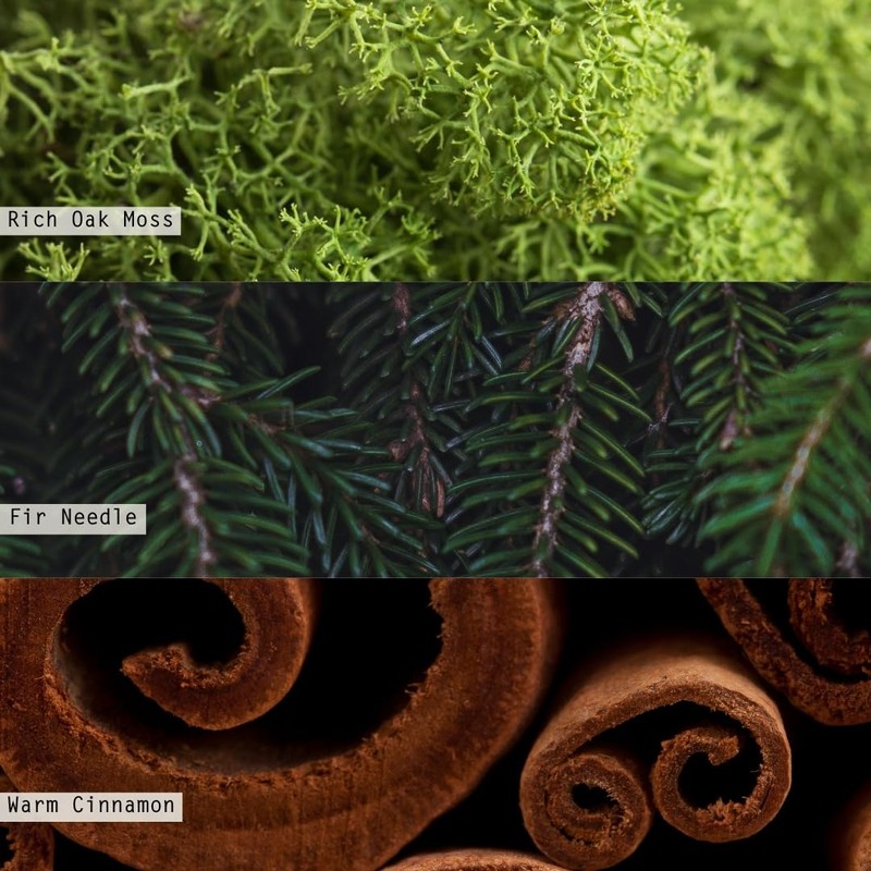 ILLUME Statement Glass Candle, Balsam & Cedar