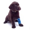 SEADESKY 6 Rollen Selbsthaftende Bandage Hund Vet Wrap Pet Selbstklebender