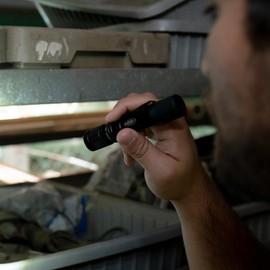 Police Security - Proflex Flashlight - 500 Lumens - Water Resistant