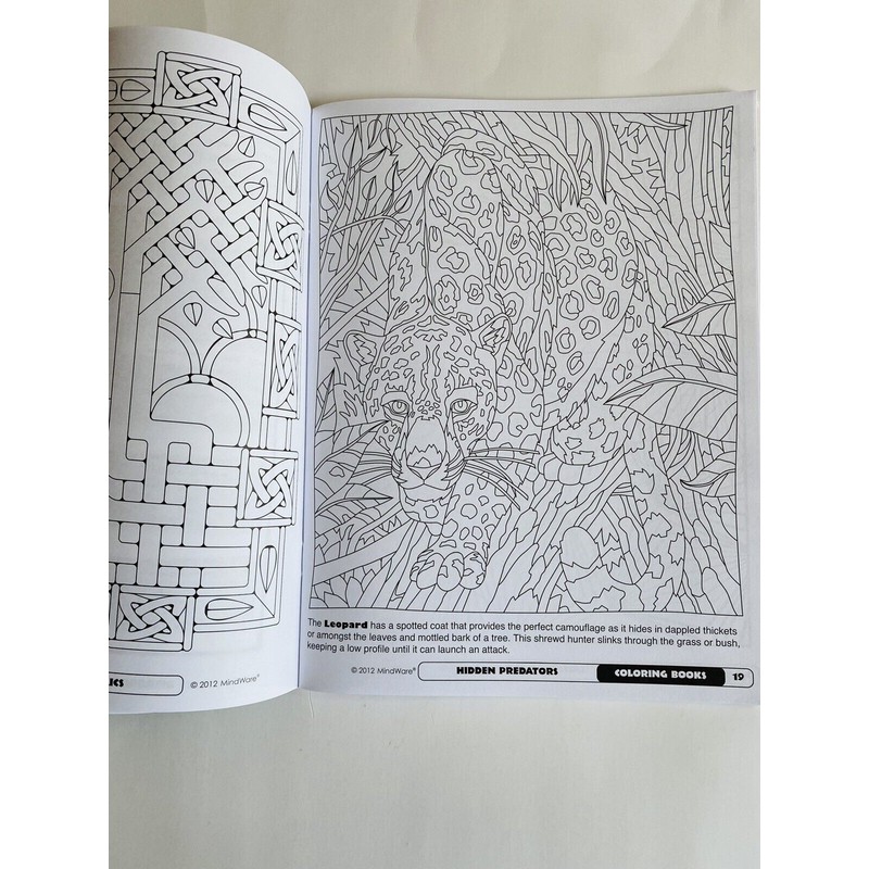 MindWare Lot of 2 Best of MindWare Brain Teasers Volume