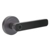Smart Fingerprint Door Lock Security Biometric Door Knob Keyless Entry