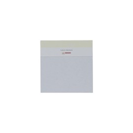 Sun-Star Stationery S2850885 Ester Bunny Goods, Memo Pad, Square, Window Included, Cream