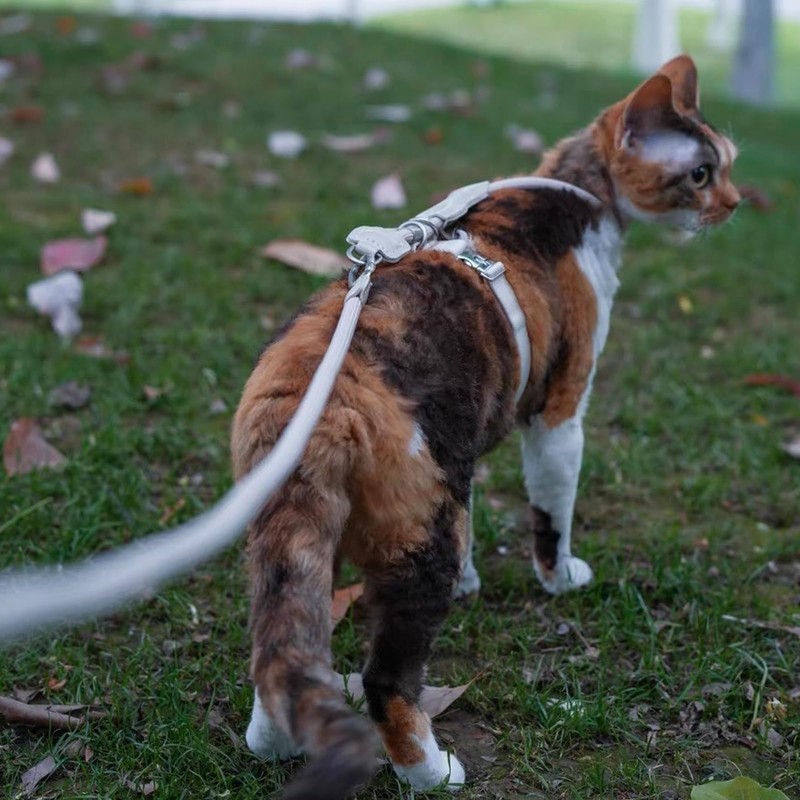 Duuclume Cat Harness and Leash Set,Adjustable Escape-Proof for Walking Cats,Breathable