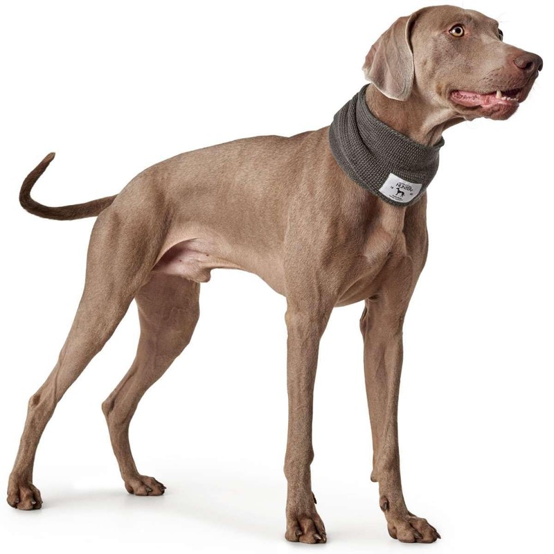 HUNTER Nancy Dog Scarf Grey One Size