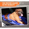 Transport Stretcher for Dogs, Pet Folding Stretcher Emergency Animal Carrier