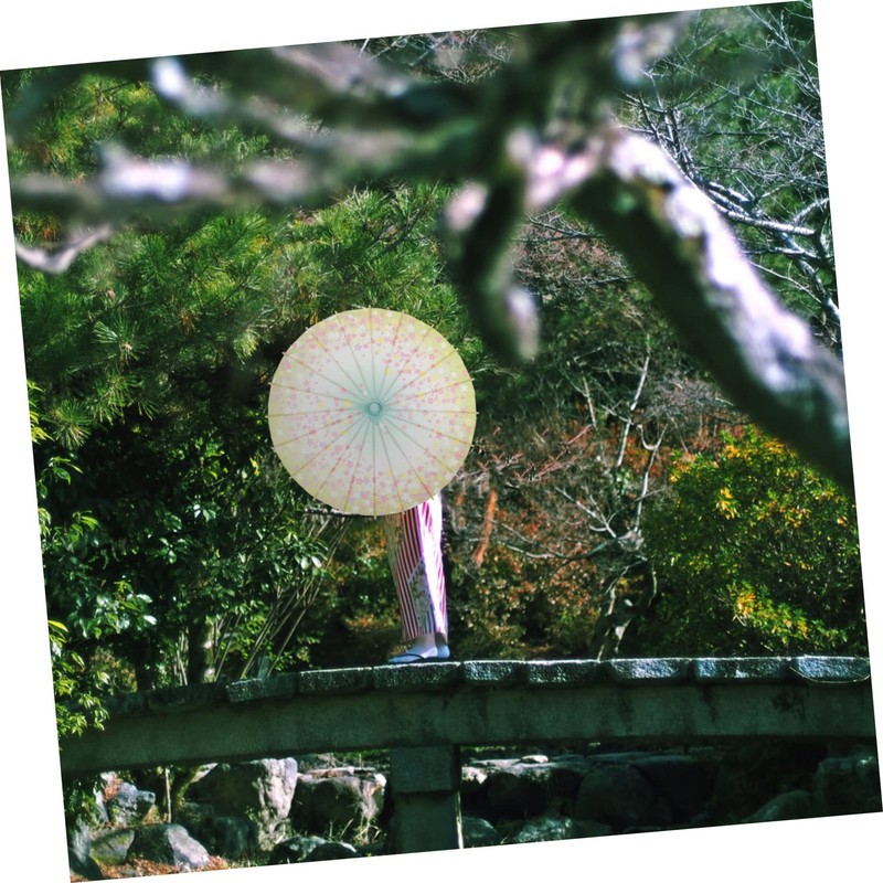Baluue 2Pcs Unique Japanese Decorative Umbrella Classic Paper Parasol for
