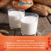 Kefir Starter Culture Kefir Ferment Kefir Culture Powder Healthy Stomach