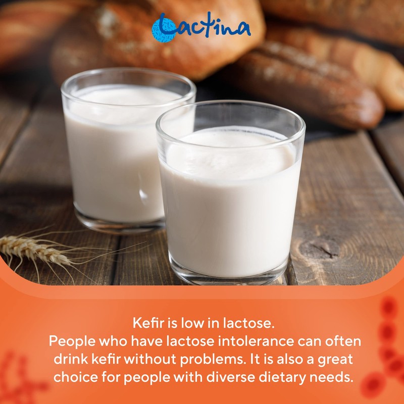 Kefir Starter Culture Kefir Ferment Kefir Culture Powder Healthy Stomach