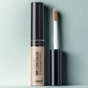 Anjumain The Saem Cover Perfection Tip Concealer 6.5g, Contour Beige,