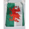AZ FLAG WALES 12 meters BUNTING FLAG 20 flags 18''