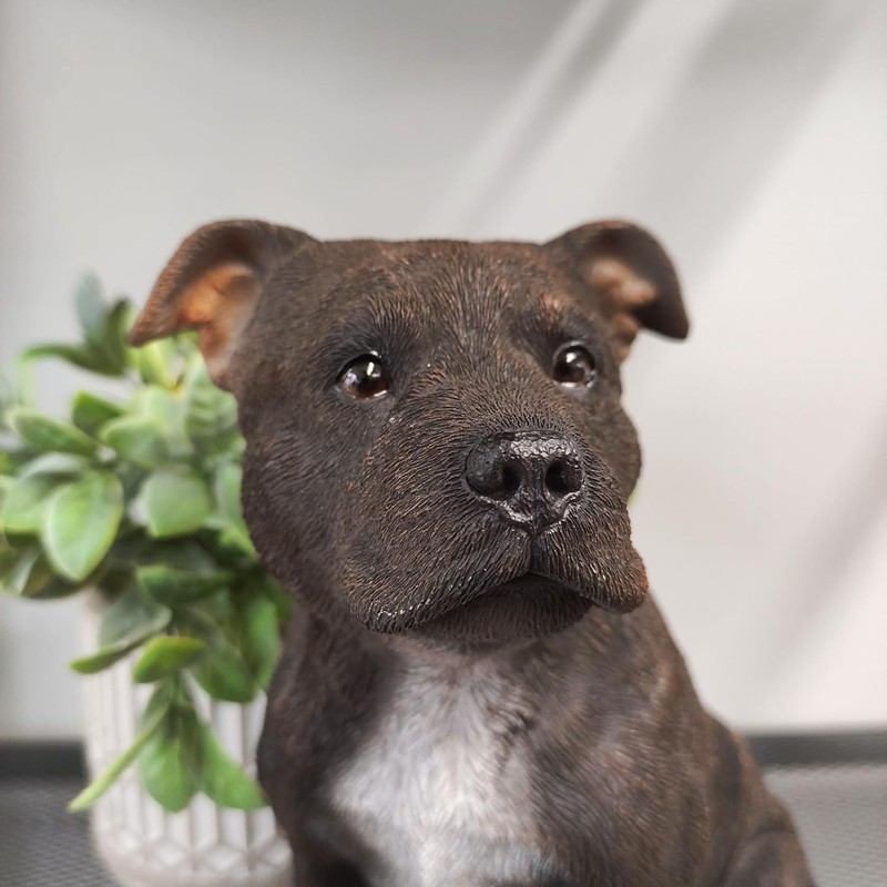 Vivid Arts - Staffordshire Terrier Brown - XRL-STF2-D