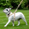 No Pull Dog Harness - Adjustable Step-in Harness & Leash