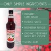 Joe’s Syrup Organic Flavored Syrup, Organic Raspberry, 750 ml